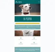 Kleine Seitenvorschau von lupieper.de