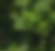 Kleine Seitenvorschau von tiko.or.at