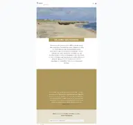 Kleine Seitenvorschau von galerie-rieck.de