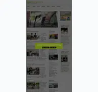 Kleine Seitenvorschau von igp-magazin.de