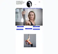 Kleine Seitenvorschau von pole-paradise.de