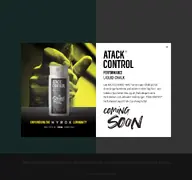 Kleine Seitenvorschau von atackcontrol.de