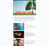 Kleine Seitenvorschau von lungenstiftung-bremen.de