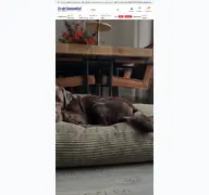 Kleine Seitenvorschau von hundebett.de