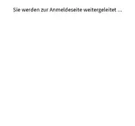 Kleine Seitenvorschau von mein.usp.gv.at