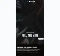 Kleine Seitenvorschau von hyvibes.de