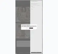Kleine Seitenvorschau von outlet.bongenie.ch