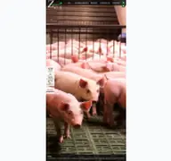 Kleine Seitenvorschau von znvg.de
