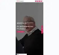 Kleine Seitenvorschau von paconsult.de