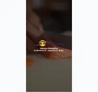 Kleine Seitenvorschau von izakaya-mangetsu.de