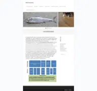 Kleine Seitenvorschau von maifischprojekt.de