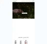 Kleine Seitenvorschau von wishyoumore.de
