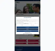 Kleine Seitenvorschau von infothek.rw.fau.de