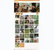 Kleine Seitenvorschau von tierheimhelden.de