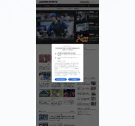 Kleine Seitenvorschau von doshinsports.com