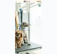 Kleine Seitenvorschau von mamamia-hundesalon.de