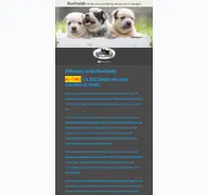 Kleine Seitenvorschau von buschteufels.de