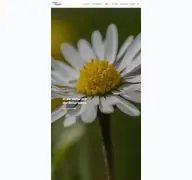 Kleine Seitenvorschau von camping-helloer.de