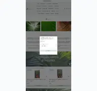 Kleine Seitenvorschau von palmengruen.de