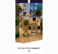 Kleine Seitenvorschau von einfach-gin.de