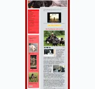 Kleine Seitenvorschau von tierpflegenest.de