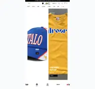 Kleine Seitenvorschau von mantisshop.de