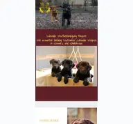 Kleine Seitenvorschau von sandsteinschloss.de
