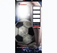 Kleine Seitenvorschau von fussballcup.de