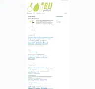 Kleine Seitenvorschau von bu-praktisch.de