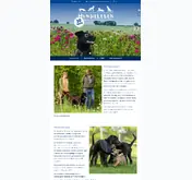 Kleine Seitenvorschau von hundeschule-hundeleben.de
