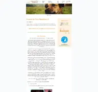 Kleine Seitenvorschau von tierschutz-fdt.de