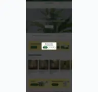 Kleine Seitenvorschau von cannameleon.de