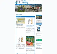 Kleine Seitenvorschau von massing.de