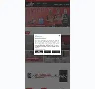 Kleine Seitenvorschau von ohv-handball.de