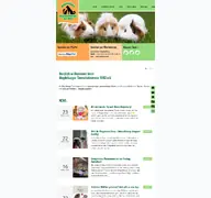 Kleine Seitenvorschau von tierschutz-magdeburg.de