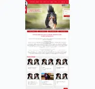 Kleine Seitenvorschau von bernersennenhund.ch