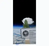 Kleine Seitenvorschau von gsg-daun.de