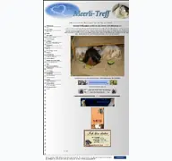 Kleine Seitenvorschau von meerli-treff.npage.de