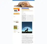 Kleine Seitenvorschau von hunde-fan.de