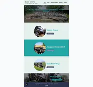 Kleine Seitenvorschau von buggy-events.de