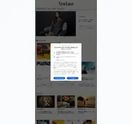Kleine Seitenvorschau von newluxe.jp