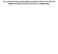 Kleine Seitenvorschau von mhpost.ru