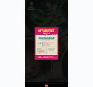 Kleine Seitenvorschau von casitamexicana.de