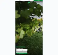Kleine Seitenvorschau von steiermark.com