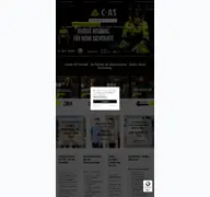 Kleine Seitenvorschau von cas-technik.de