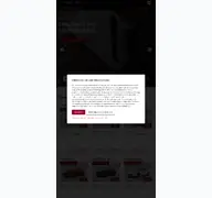 Kleine Seitenvorschau von autohaus-rottmann.de