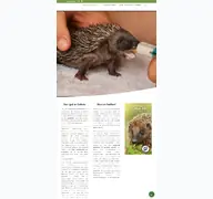 Kleine Seitenvorschau von igelfreunde-rp.de