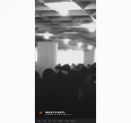 Kleine Seitenvorschau von wollys.de