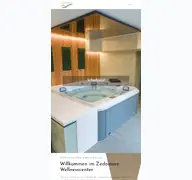 Kleine Seitenvorschau von zedomare.de