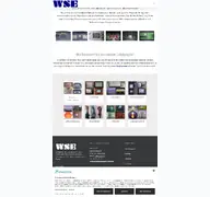 Kleine Seitenvorschau von ws-elektronik.de
